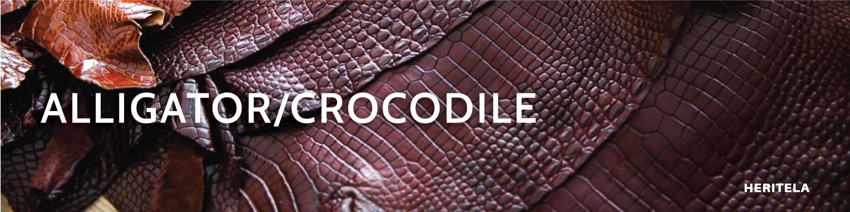Alligator crocodile leather